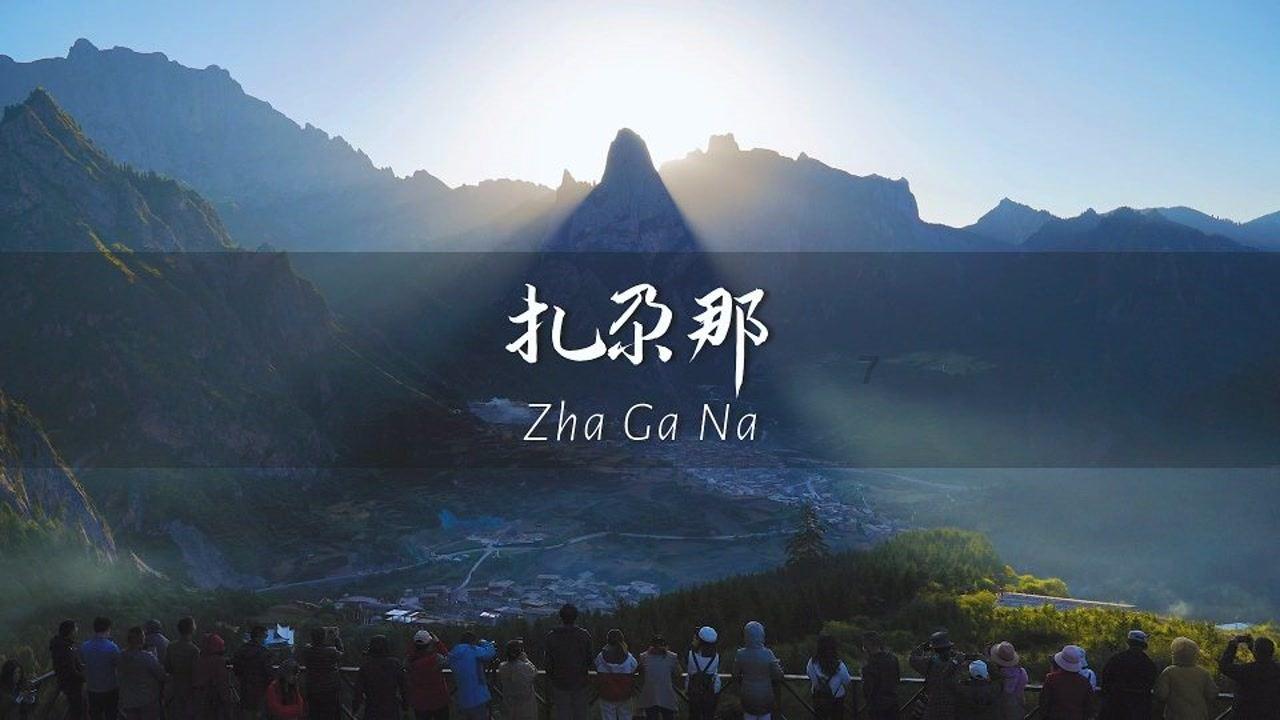 事关广大市民、游客安全！天津一区发布倡议